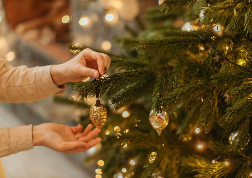 So Verhindern Sie, Dass Ihr Weihnachtsbaum Nadelt | Garten-und-Freizeit.de